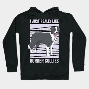 I Just Really Like Border Collie Funny Dog Hoodie